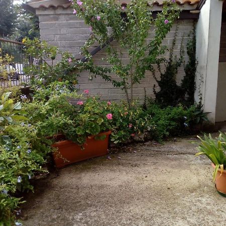 Bed and Breakfast Il Cactus San Giovanni Incarico Esterno foto