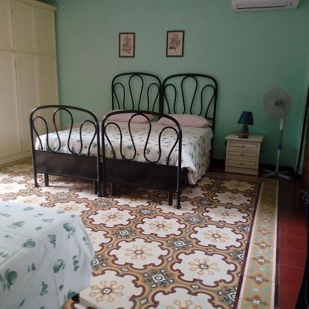 Bed and Breakfast Il Cactus San Giovanni Incarico Esterno foto