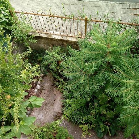 Bed and Breakfast Il Cactus San Giovanni Incarico Esterno foto