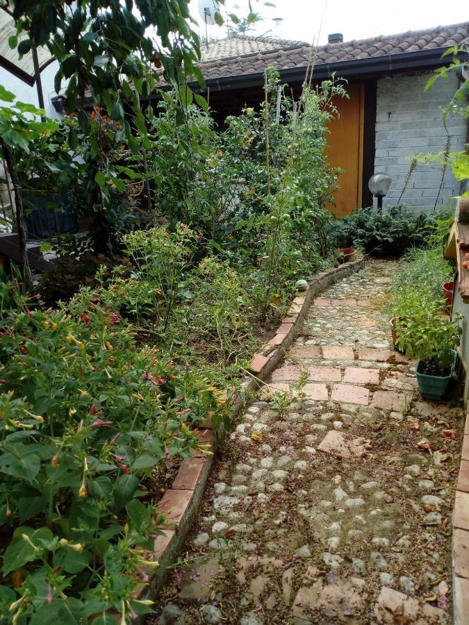 Bed and Breakfast Il Cactus San Giovanni Incarico Esterno foto