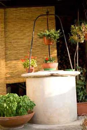 Bed and Breakfast Il Cactus San Giovanni Incarico Esterno foto