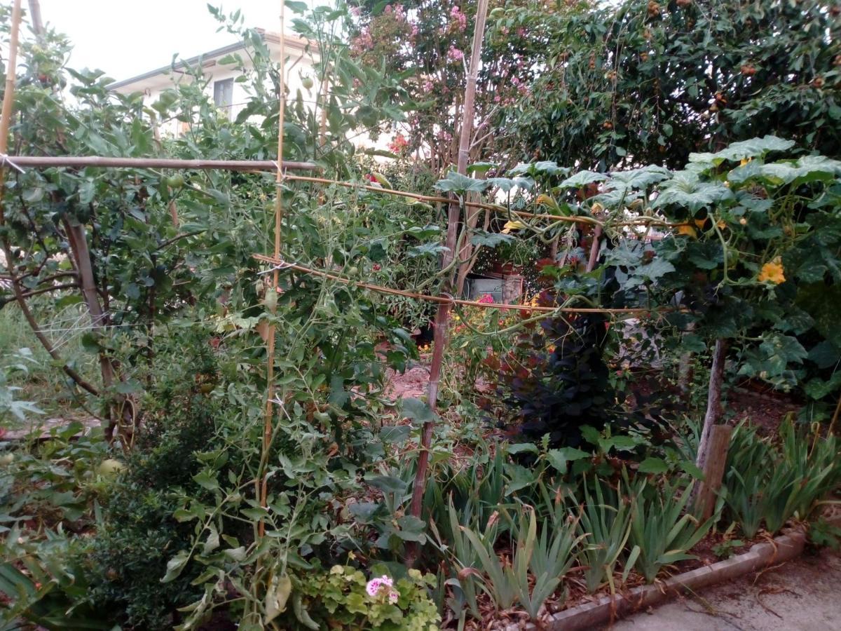 Bed and Breakfast Il Cactus San Giovanni Incarico Esterno foto